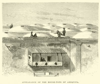 Appearance of the House-Tops of Arequipa by Edouard Riou